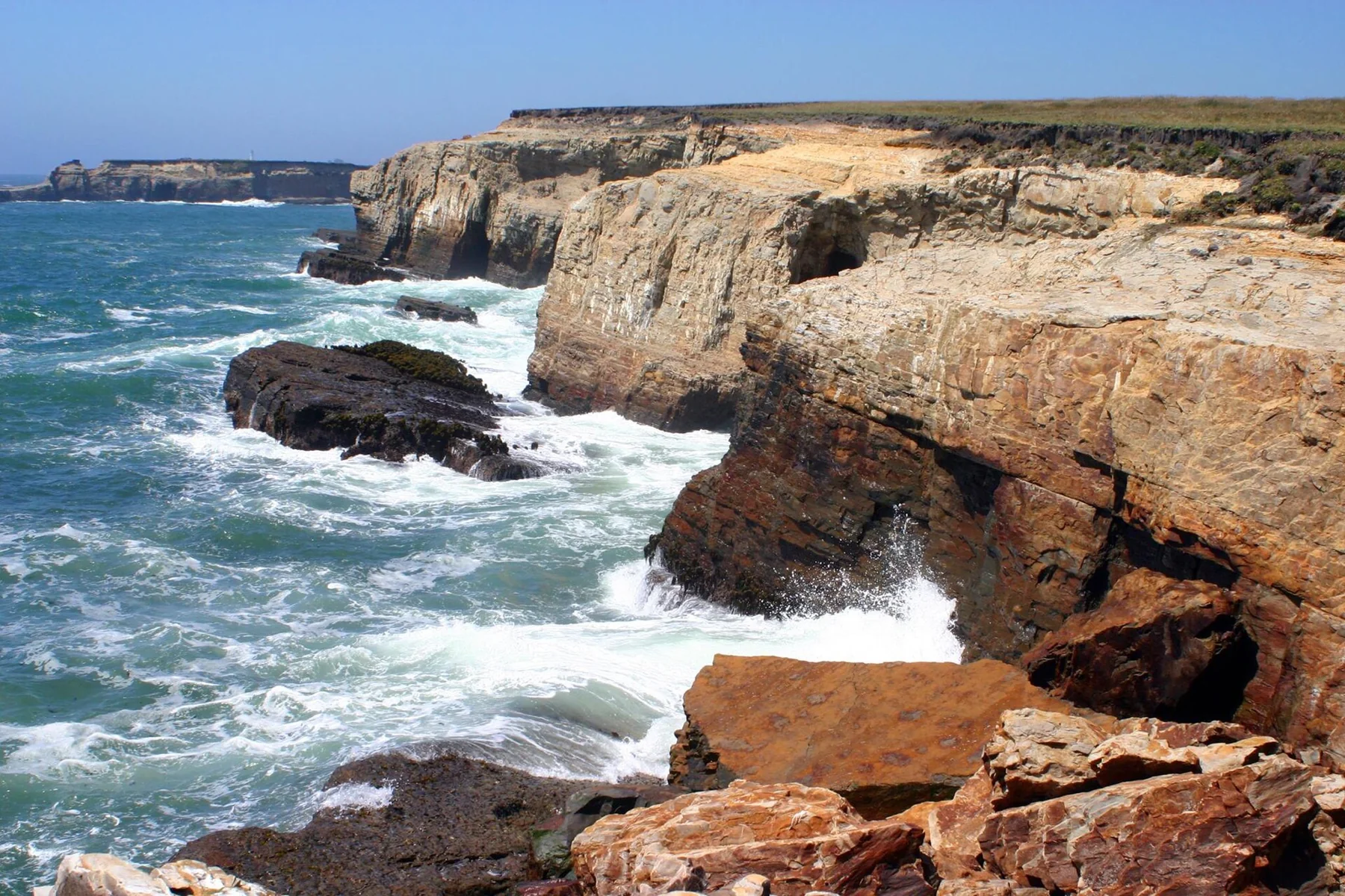 Point Arena-Stornetta Public Lands